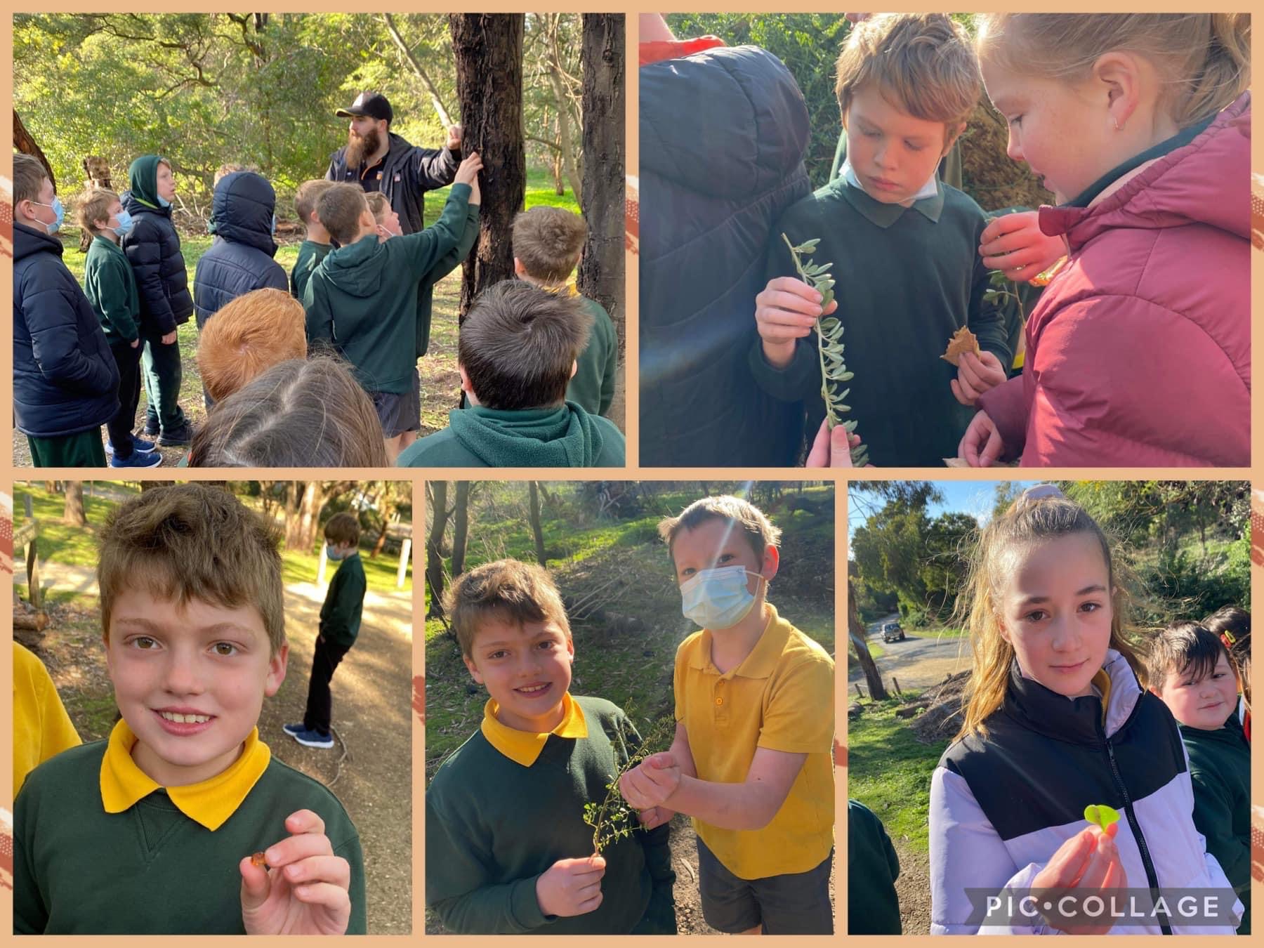 /uploaded_files/media/gallery/1659433807IMG_3083 2.JPG